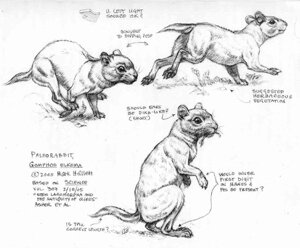 Recent illustrations for National Geographic and other publications.